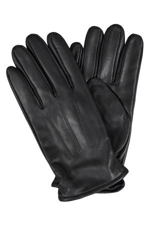 Jonas Glove