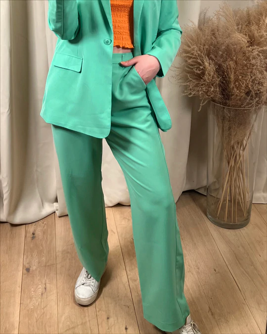 Zelda H/W Loose Wide Pant