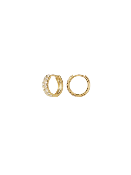 Emilia earings clear